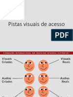 Pistas Visuais de Acesso