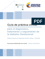 Guia Diabetes Profesionales Gestacional