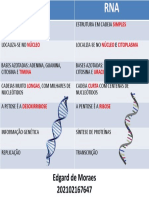 Edgard de Moraes 202102167647: Dupla Simples Núcleo Núcleo Citoplasma