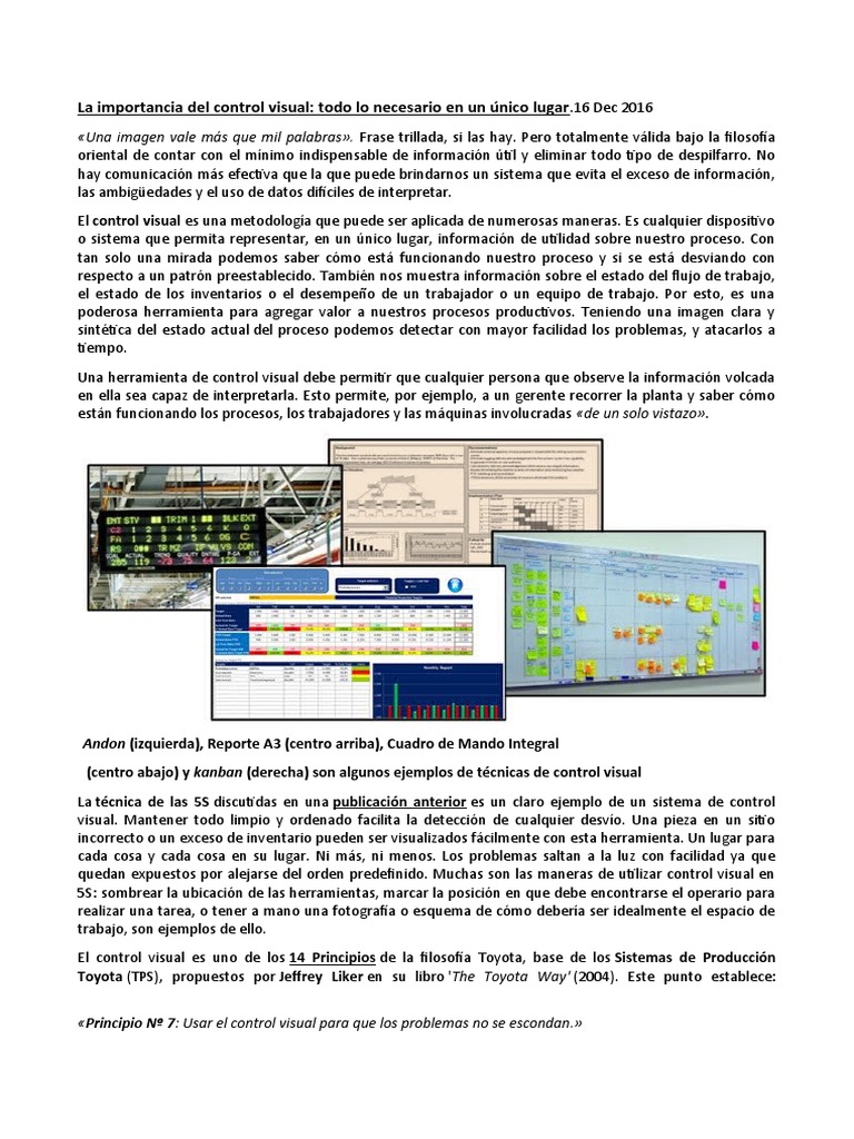 Importancia del Control Visual en Procesos | PDF | Información