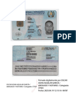 Dpi Victor Gonzalez (1) - FIRMADO