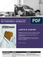 En Pequeños Animales: Principios de La Oncología