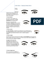 Tipos de Cejas - Trabajo Práctico