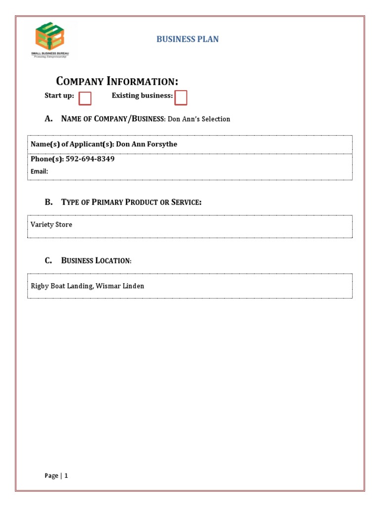 Don Ann Forsythe Clothing Store Business Plan SBB 2023 Completed | PDF