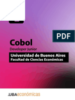 Uba Economicas - Cobol Developer Junior