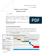 PDF Taller Programa y Plan de Auditoria - Compress