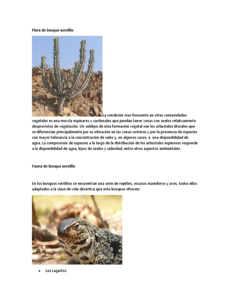 Flora de Bosque Xerofilo PDF Ciencias de la Tierra Biogeografia