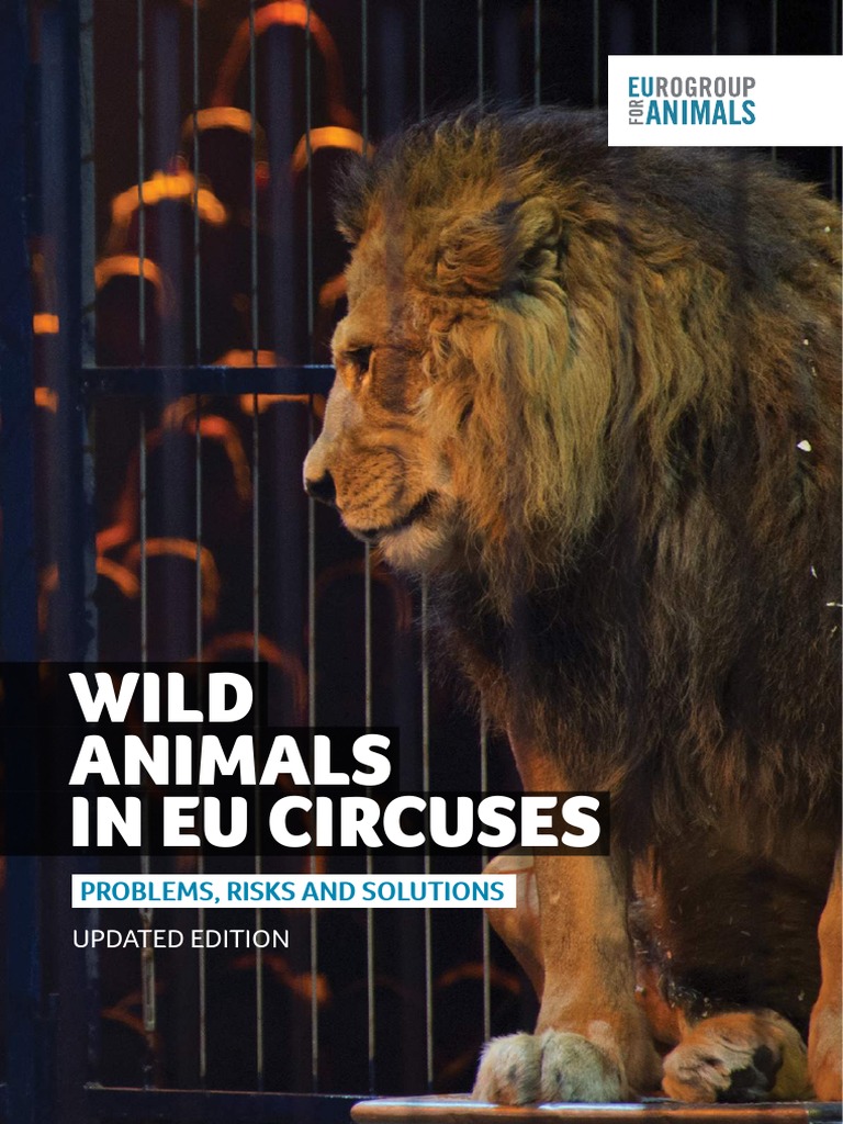 Wild Animals in Eu Circuses: Problems, Risks and Solutions | PDF ...