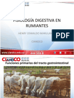 Fisiología Digestiva en Rumiantes: Henry Oswaldo Marulanda Ciandco