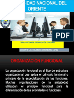 TEMA No. 4 SISTEMA DE ORGANIZACION FUNCIONAL
