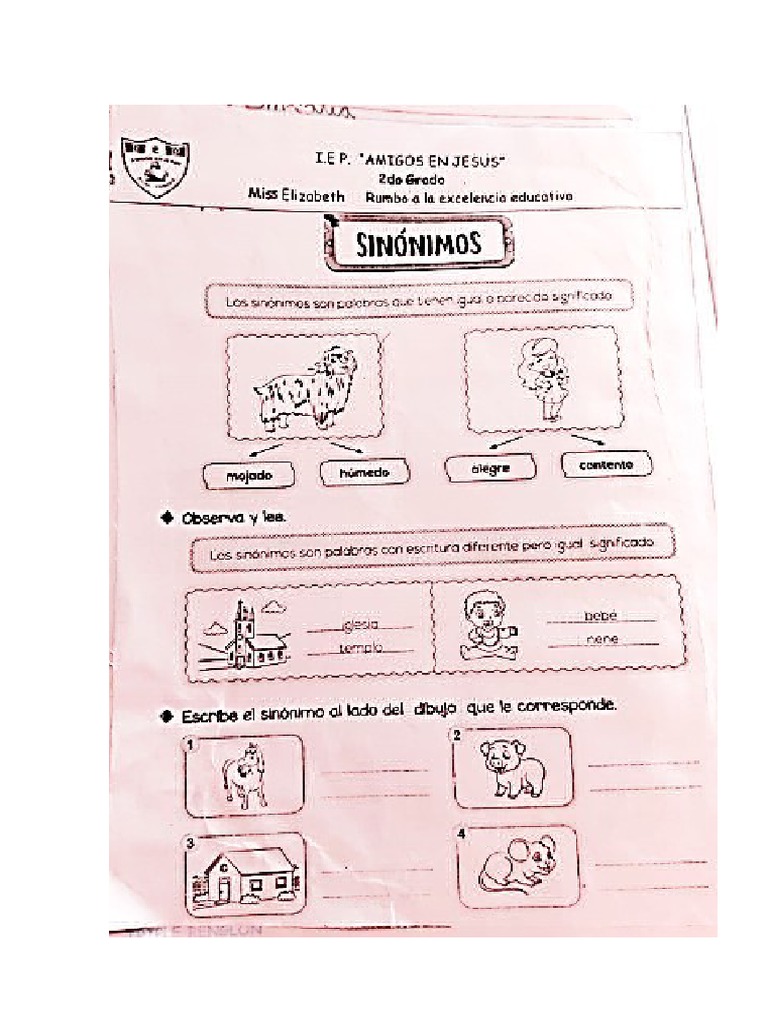 Sinonimo | PDF