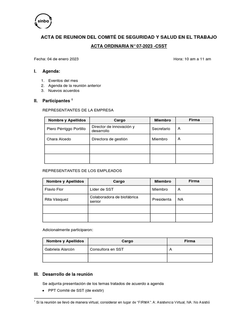 Modelo De Acta De Reunion Csst