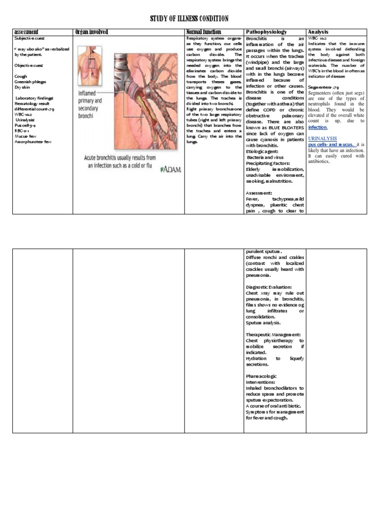 Illness Condition Study: Bronchitis Analysis | PDF | Cough | Bronchitis