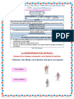 1º A - B Inf - Cont. Biologia Sem1 Del 7 - 14