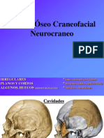Macizo Óseo Craneofacial Neurocraneo
