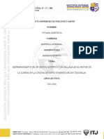 Informe de Aplicación Gerontológico Mies SD 15 Enero Aprobado