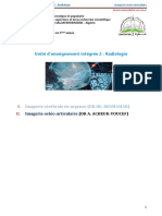 Unité D'enseignement Intégrée 2: Radiologie: Imagerie Cérébrale en Urgence (DR HE. BENMAMAR)