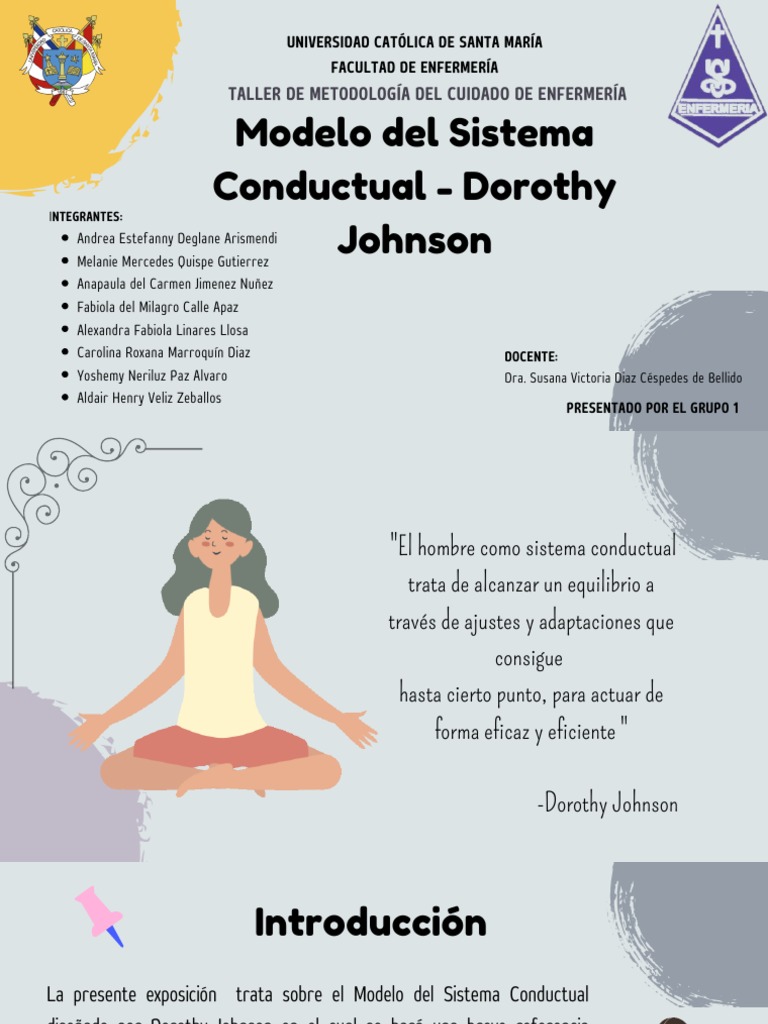 Modelo del sistema conductual Dorothy Johnson