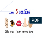 5 Sentidos