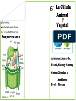 La Célula Animal Vegetal: Alumnos:Leonardo, Frank, Matos y Akemy Curso:Ciencias y Ambiente Prof.: Jhoana