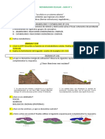 03 - Metabolismo Celular Guia 1