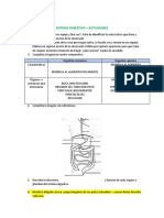 Sistema digestivo - actividades para conocer su funcionamiento