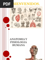 Esquema Completo de Anatomía Humana | PDF