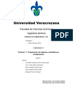 Universidad Veracruzana: Facultad de Ciencias Químicas