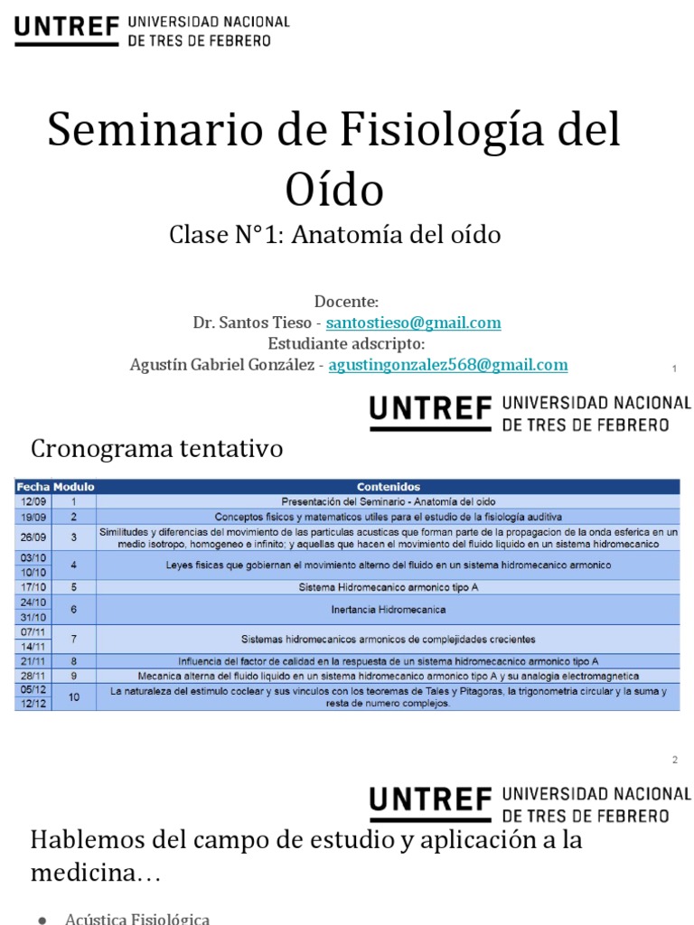 Anatomía Del Oído Y Su Función Pdf Oído Anatomía Humana
