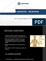 Sistema Nervioso: Neuronas: Dra. Carmen Inés Gutiérrez de Carrillo