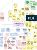 2 Mapa Mental Sobre La Argumentación Jurídica y Su Augue Actual - Grillo Ruiz