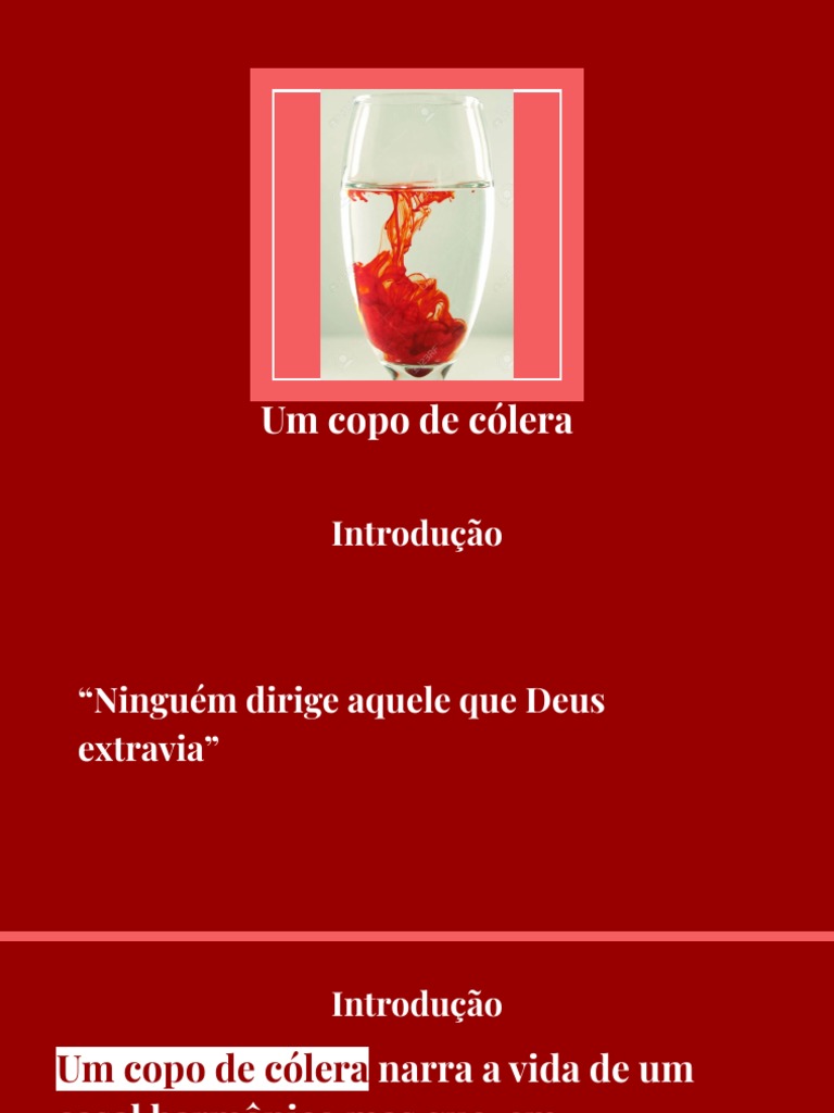 Um Copo de Cólera PDF