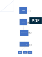 Ownership Structure and Managment Plan (Ammon)