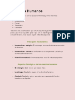 Tarea 3 Principios de Los DDHH