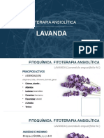 1 Lavanda