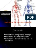 Biofísica de La Circulación: Dra. Ilsen Grijalba Docente de Fisiología