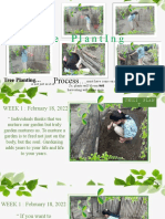 Week 1 Tree Planting (Autosaved) (Autosaved)