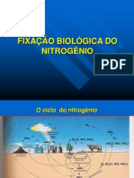 Slides Fixao Biolgica Do Nitrognio[1]