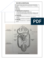 Die Sirkulasiestelsel