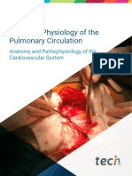 U8. Anatomophysiology of The Pulmonary Circulation