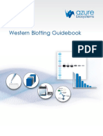 Azure Western Blotting Guidebook