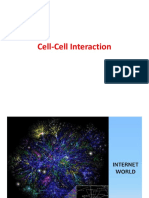 Cell Cell Interaction