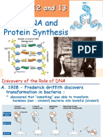 DNA, RNA and Protein Synthesis