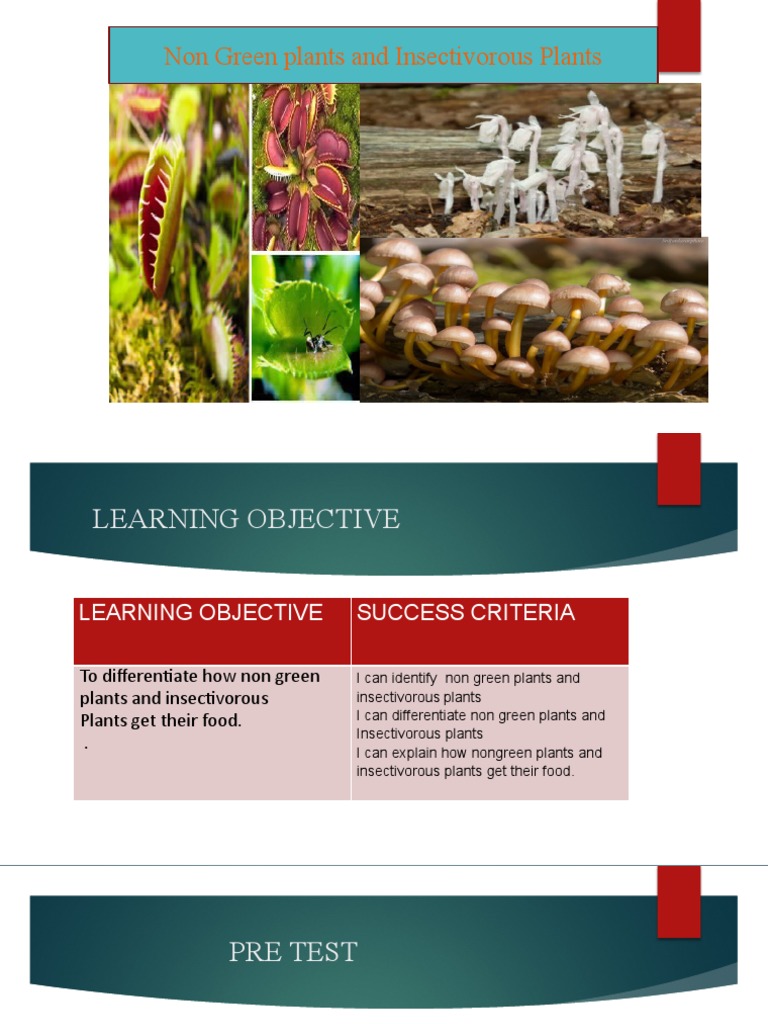 NON GREEN PLANTS AND INSECTIVOROUS PLANTS PDF Plants Organisms