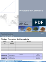 Código: Proyectos de Consultoría Versión: 1.0 Fecha: 20/09/2007