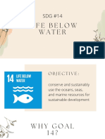 SDG #14 Life Below Water Goals
