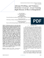 Collection, Pathotype Profiling, and Virulence Analysis of Xanthomonas Oryzae Pv. Oryzae Causing Bacterial Leaf Blight Disease of Rice in Bangladesh