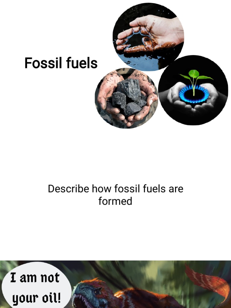 Fossil Fuels PDF Fuels Fossil Fuels