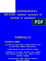 Ultrasonografia Splinei