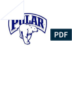 logo polar (1)